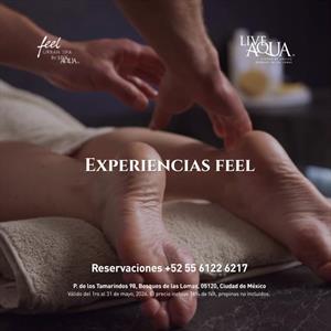 👑Feel Spa👑